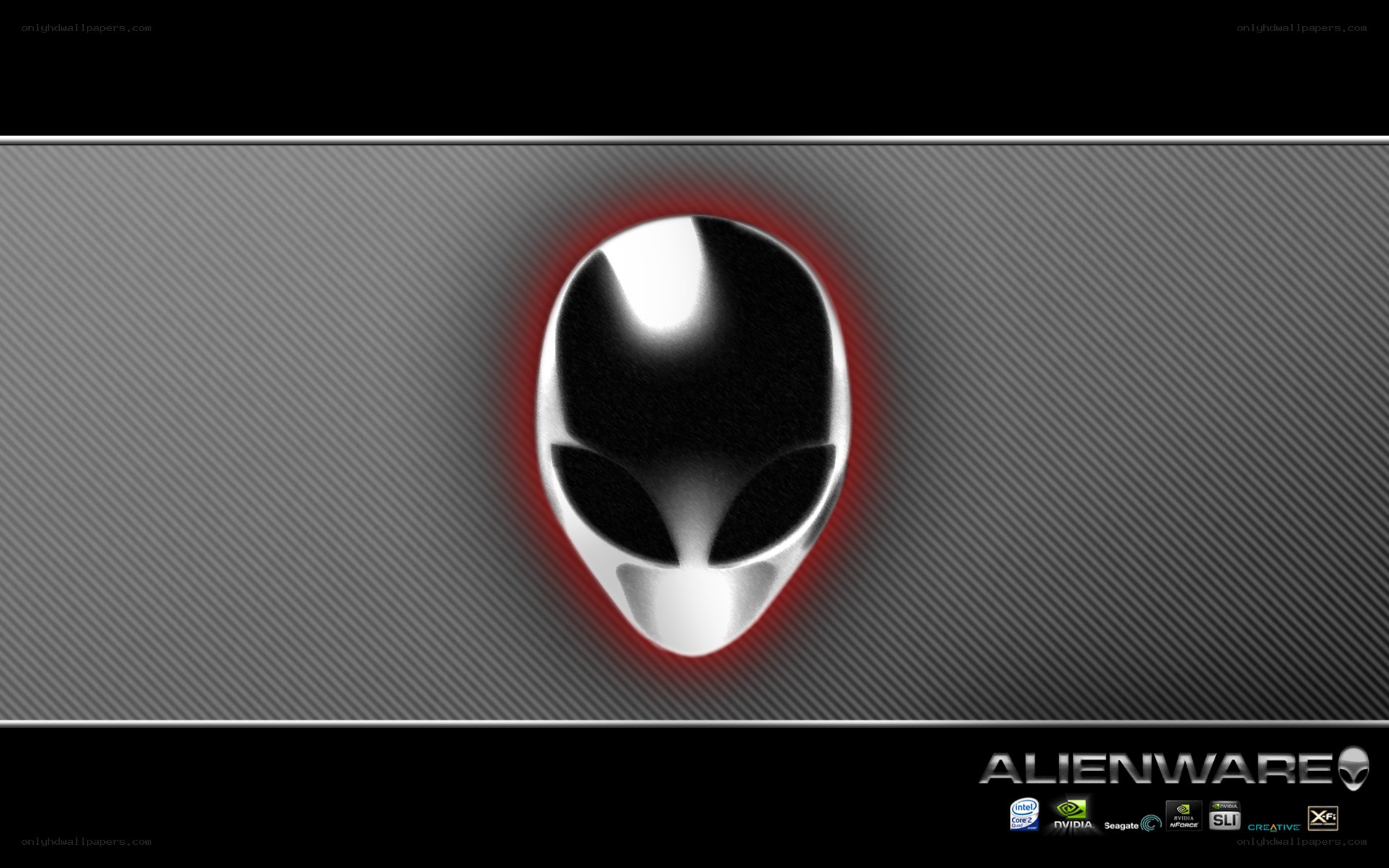 Alienware logo on carbon fiber