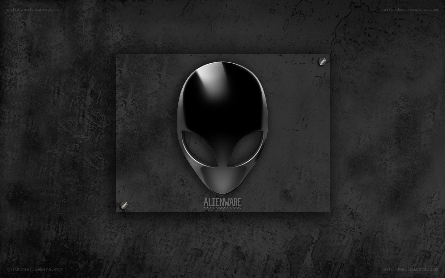 Alienware logo on dark wall