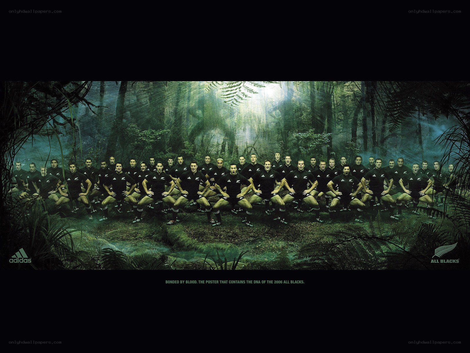 All Blacks rugby team portrait