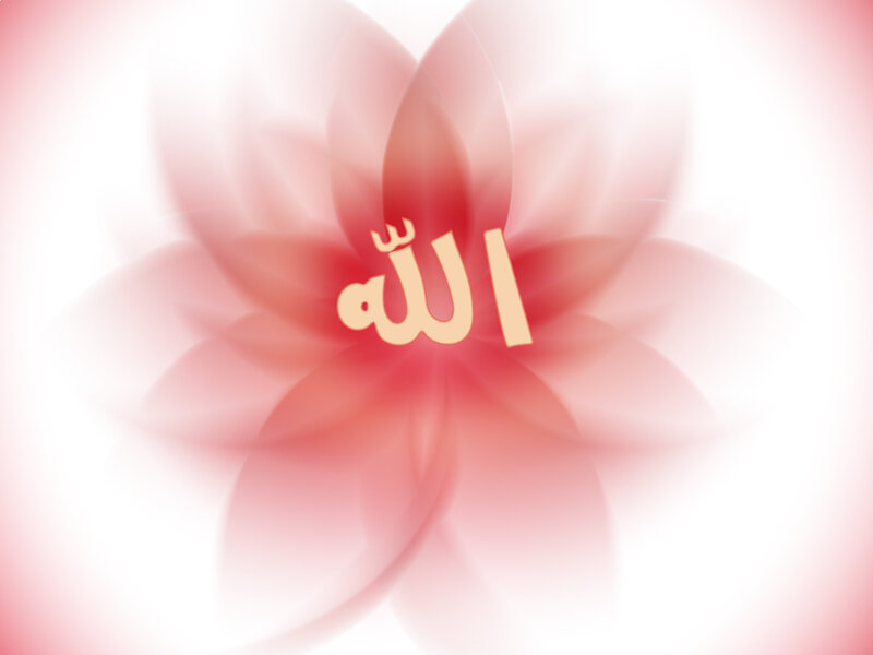 Allah in a pink flower