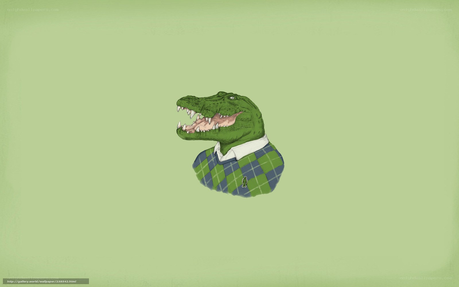alligator in sweater
