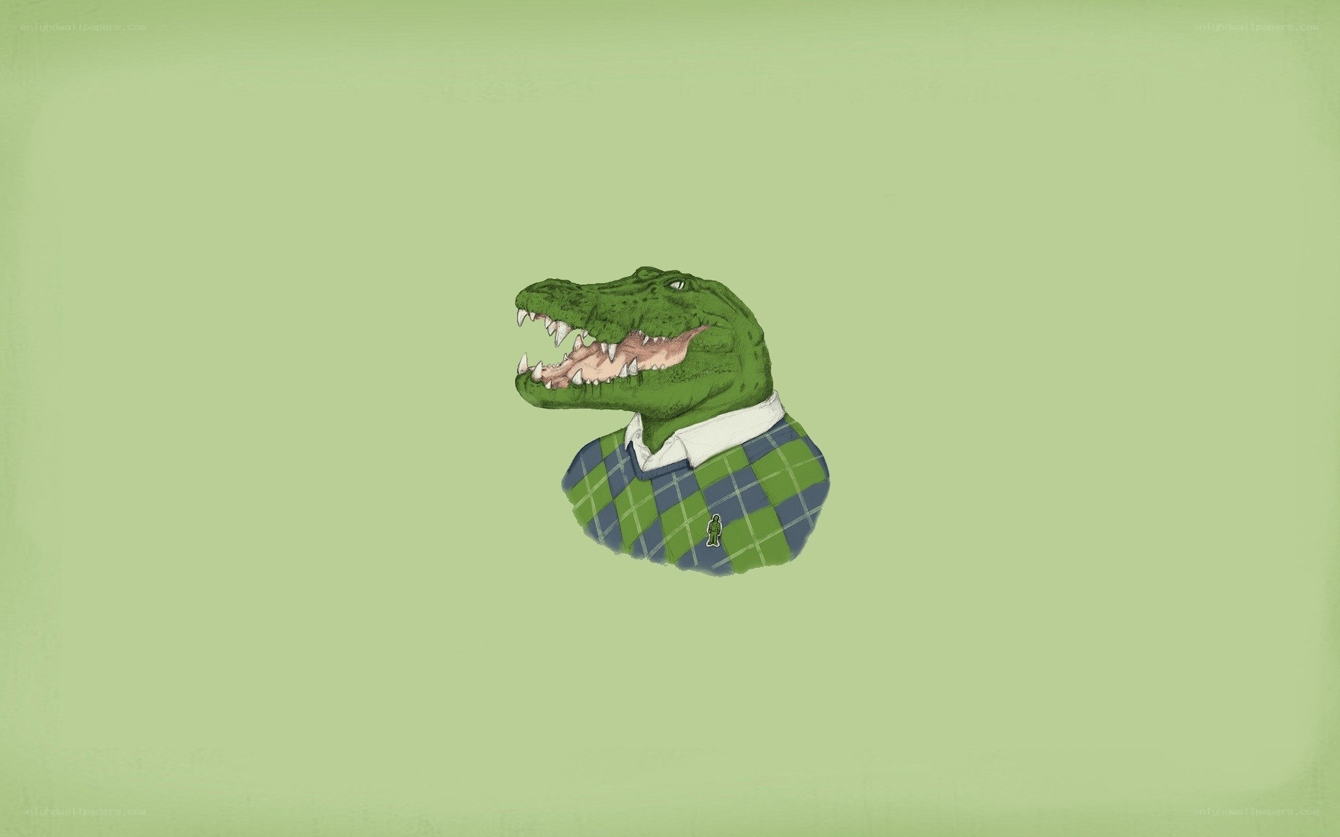 alligator in sweater