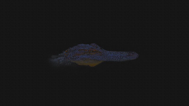 Alligator in Water — Black, Dark