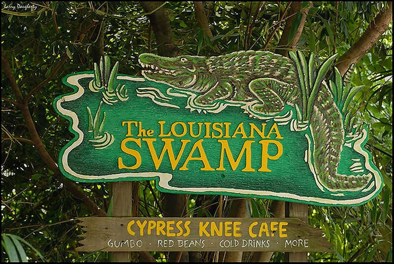 Alligator on Sign