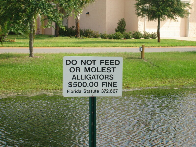 Alligator warning sign by pond