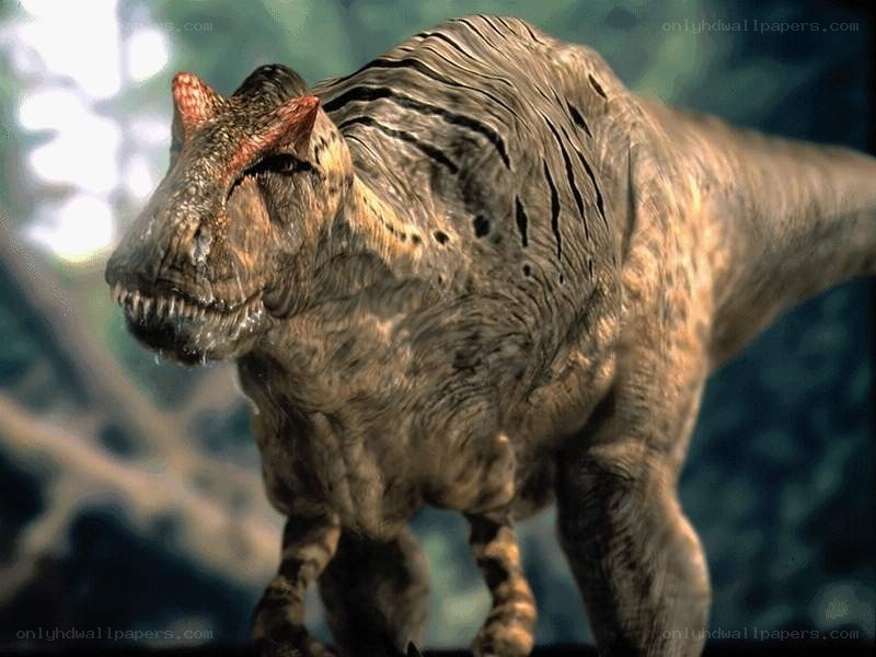 Allosaurus dinosaur in forest