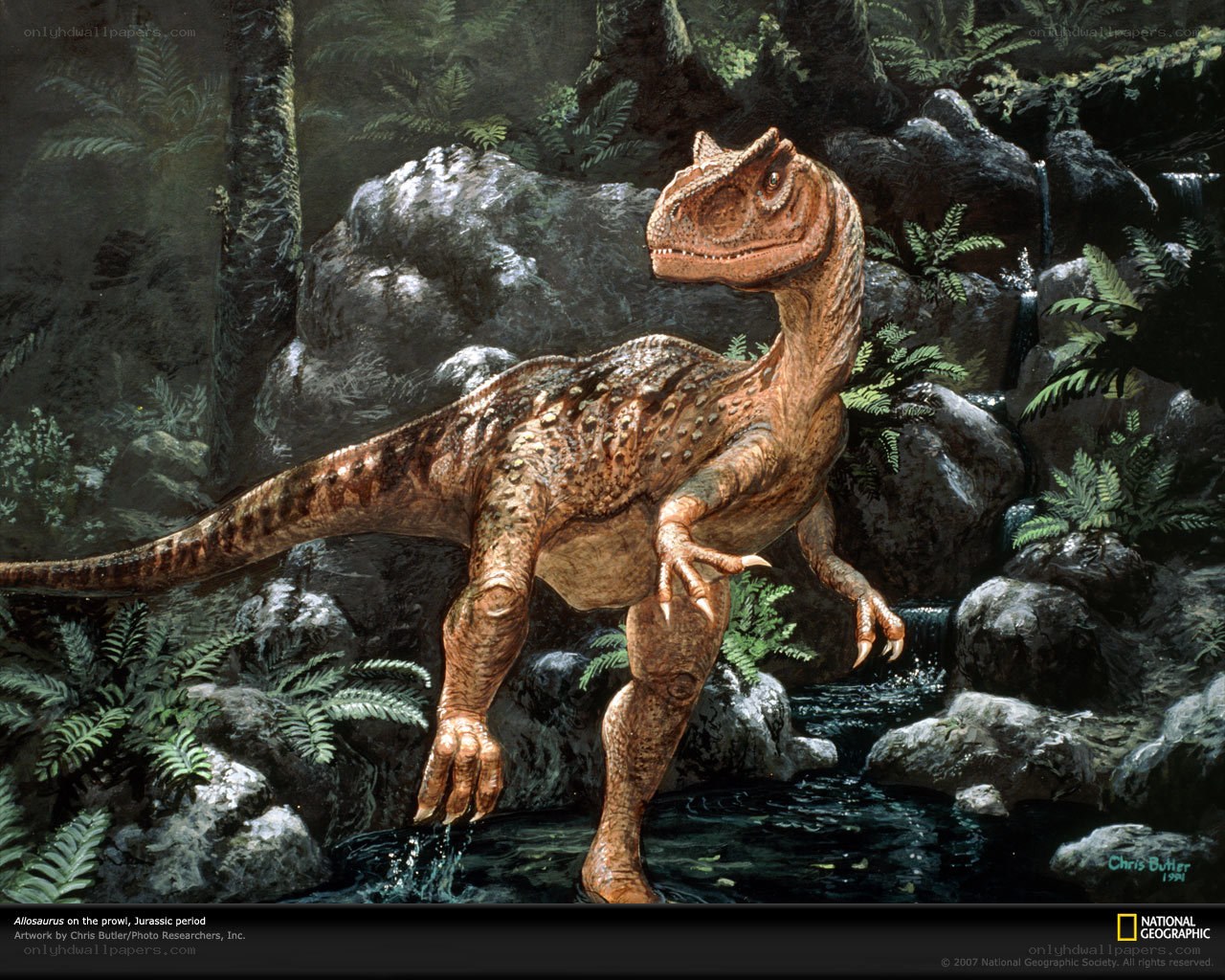 Allosaurus in prehistoric forest