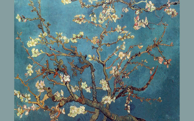 Almond Blossom Branches — Blue