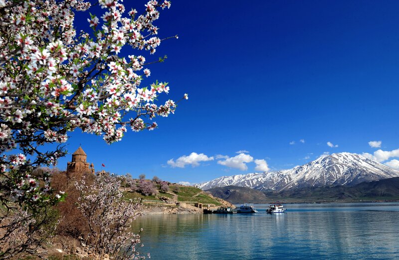 Almond Blossoms by Lake