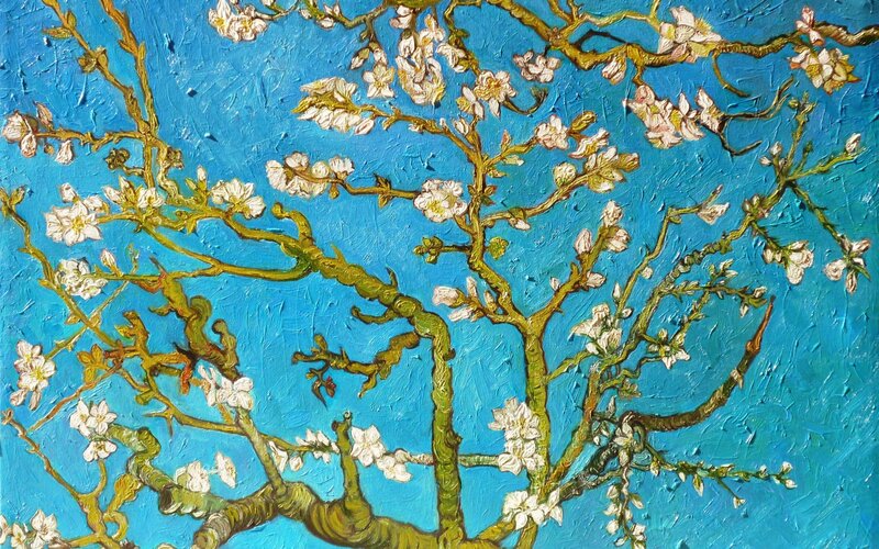 Almond Blossoms on Branches — Blue