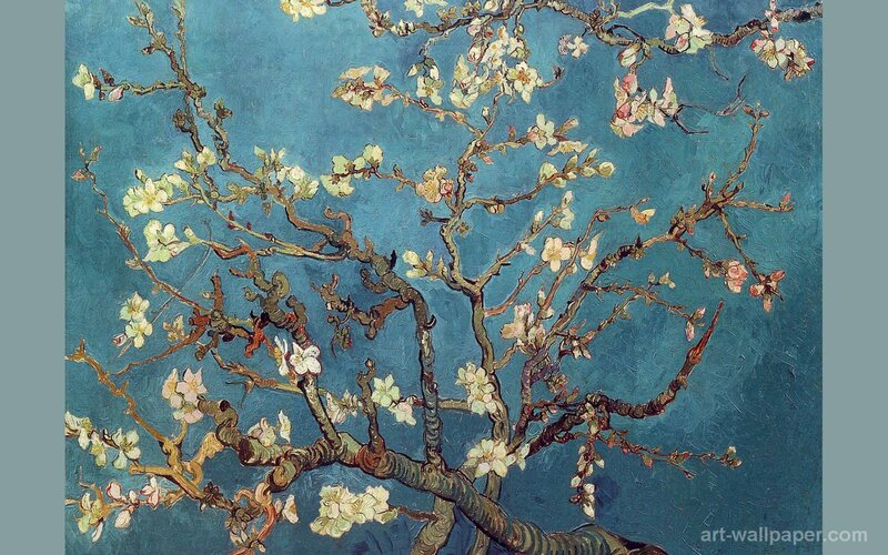 Almond Branches in Bloom