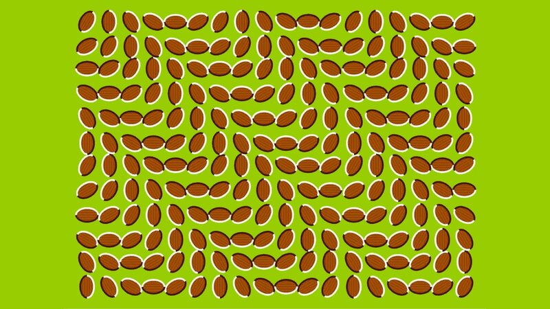 Almond Pattern Illusion — Green, Hypnotic, Illustration, Almonds, Green Background