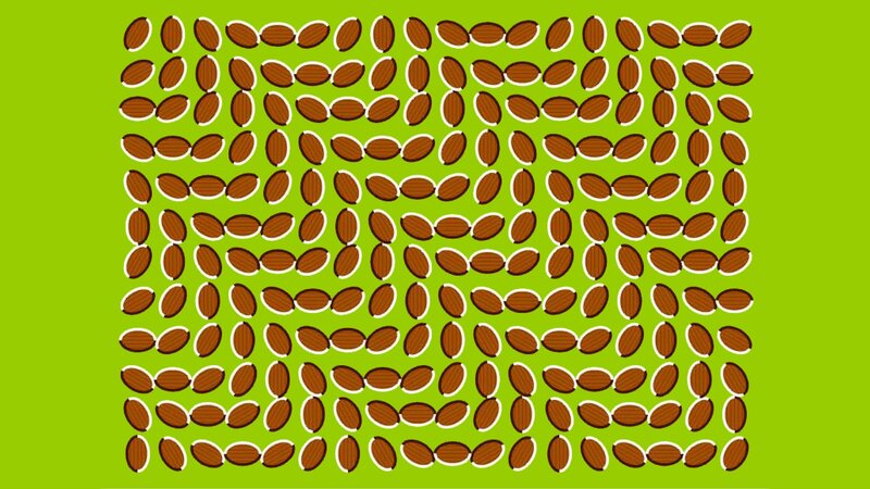 Almond Pattern Illusion — Green