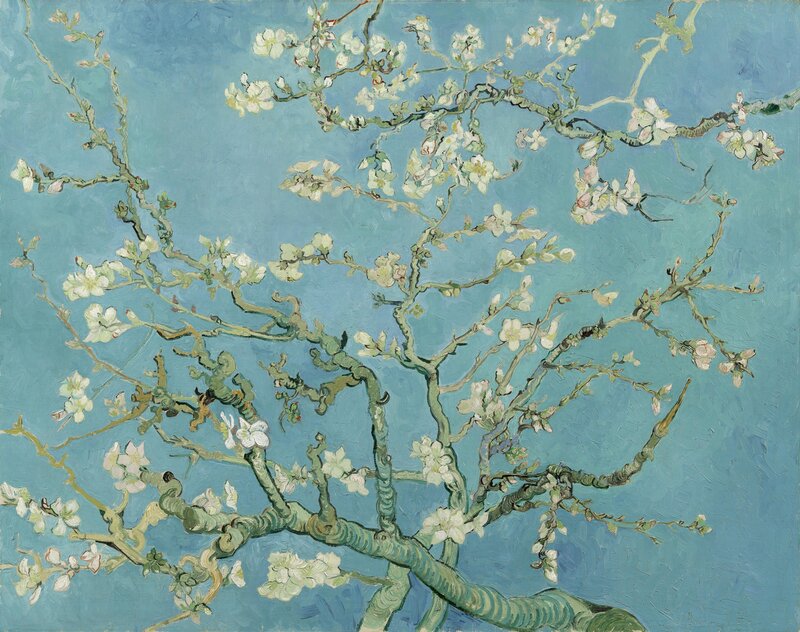 Almond Tree Branches — Blue