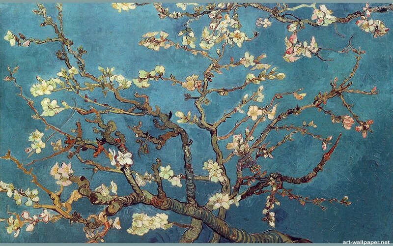 Almond Tree Branches