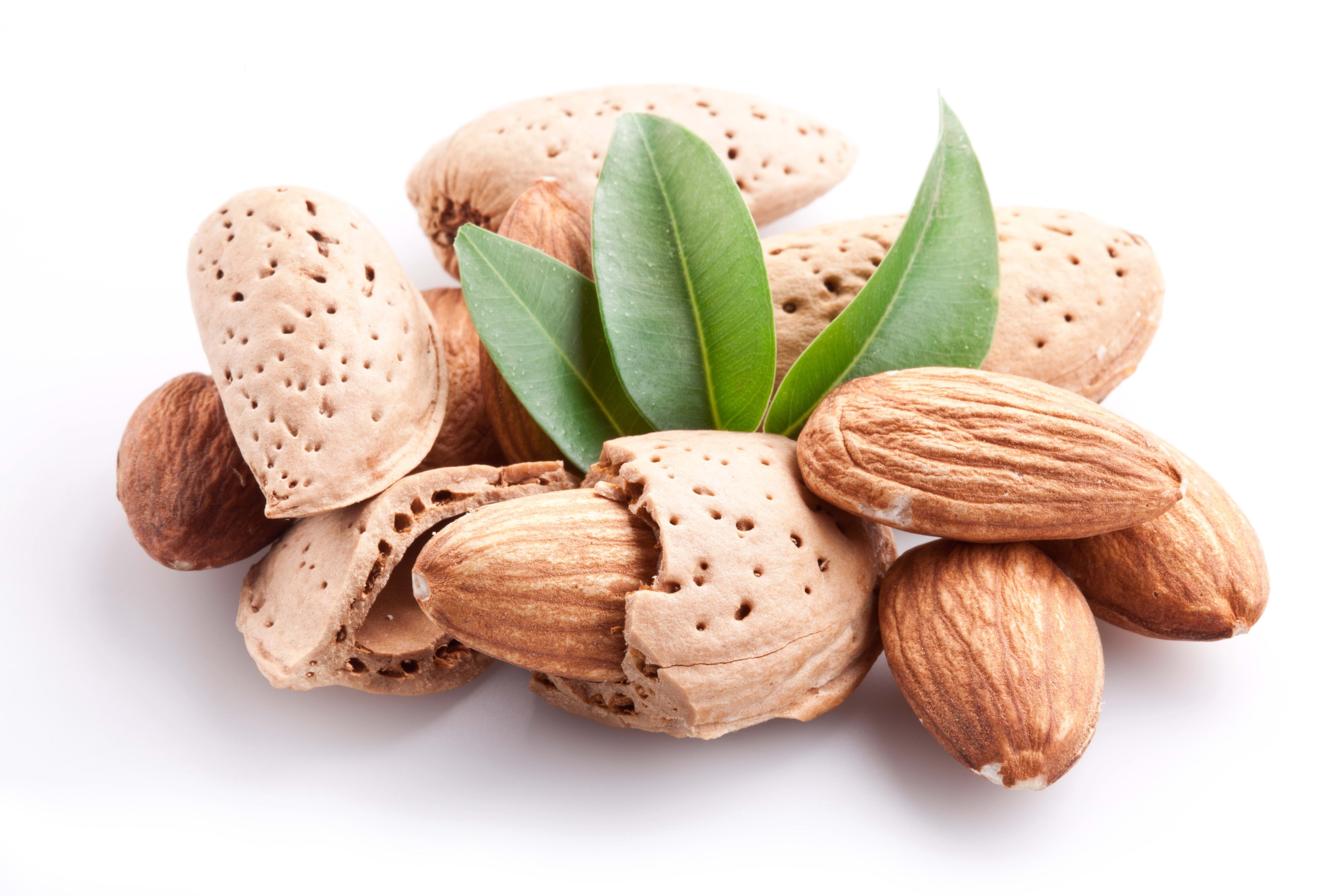 almonds with green leaves