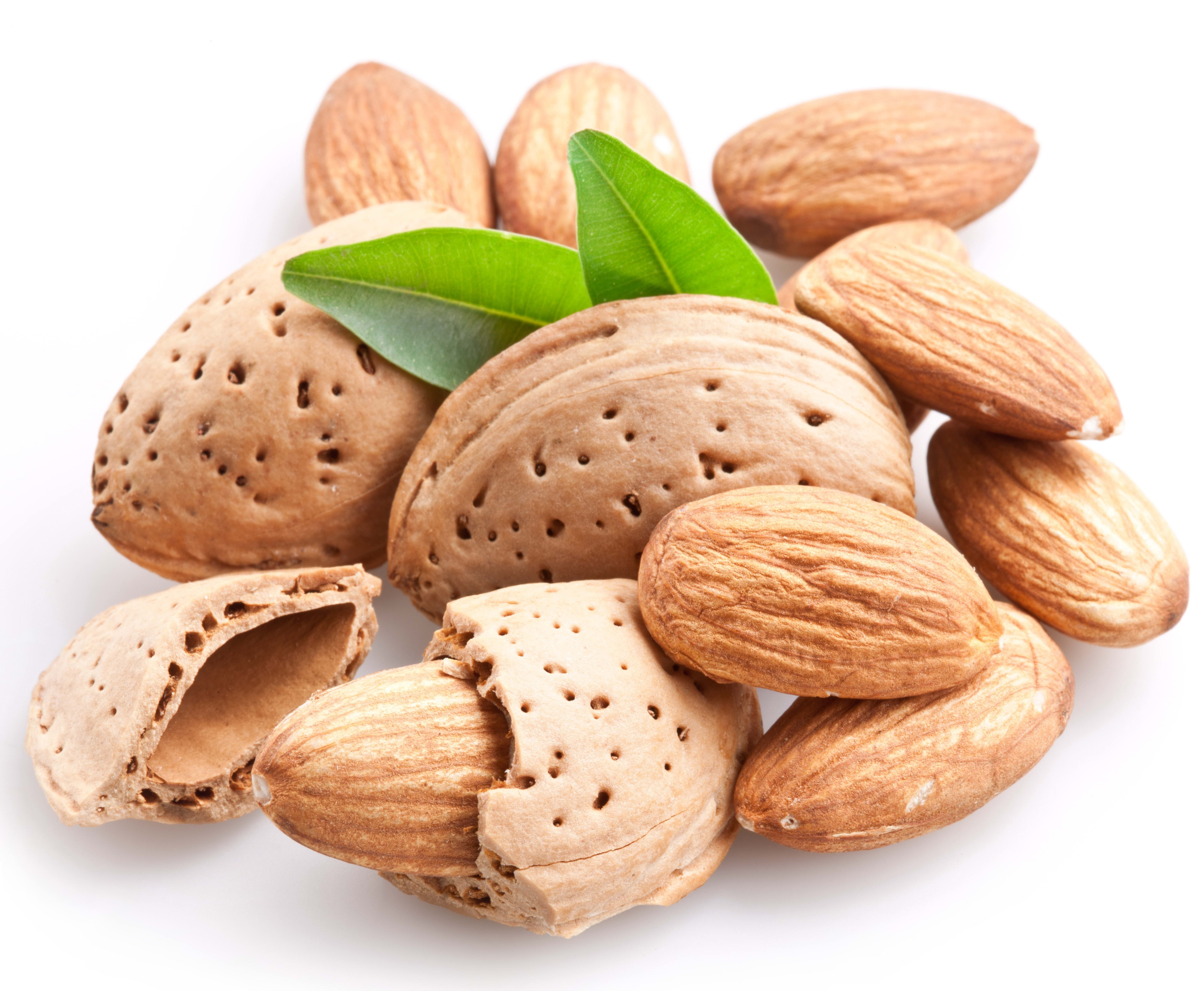 almonds with green leaves