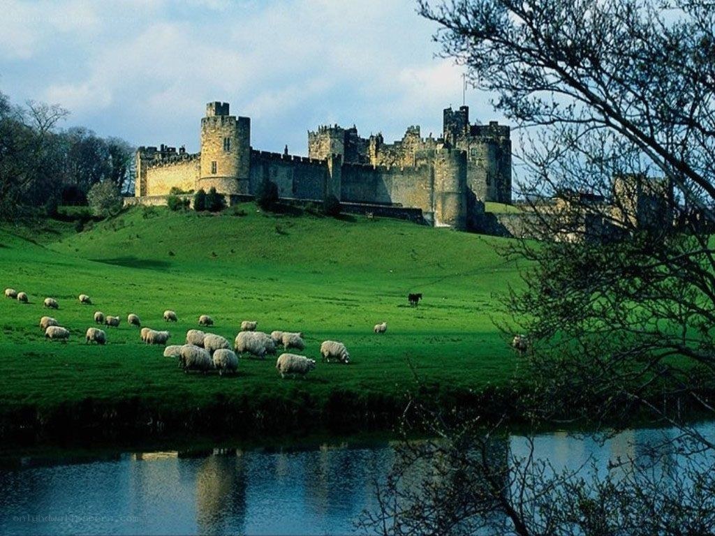 Alnwick Castle with sheep