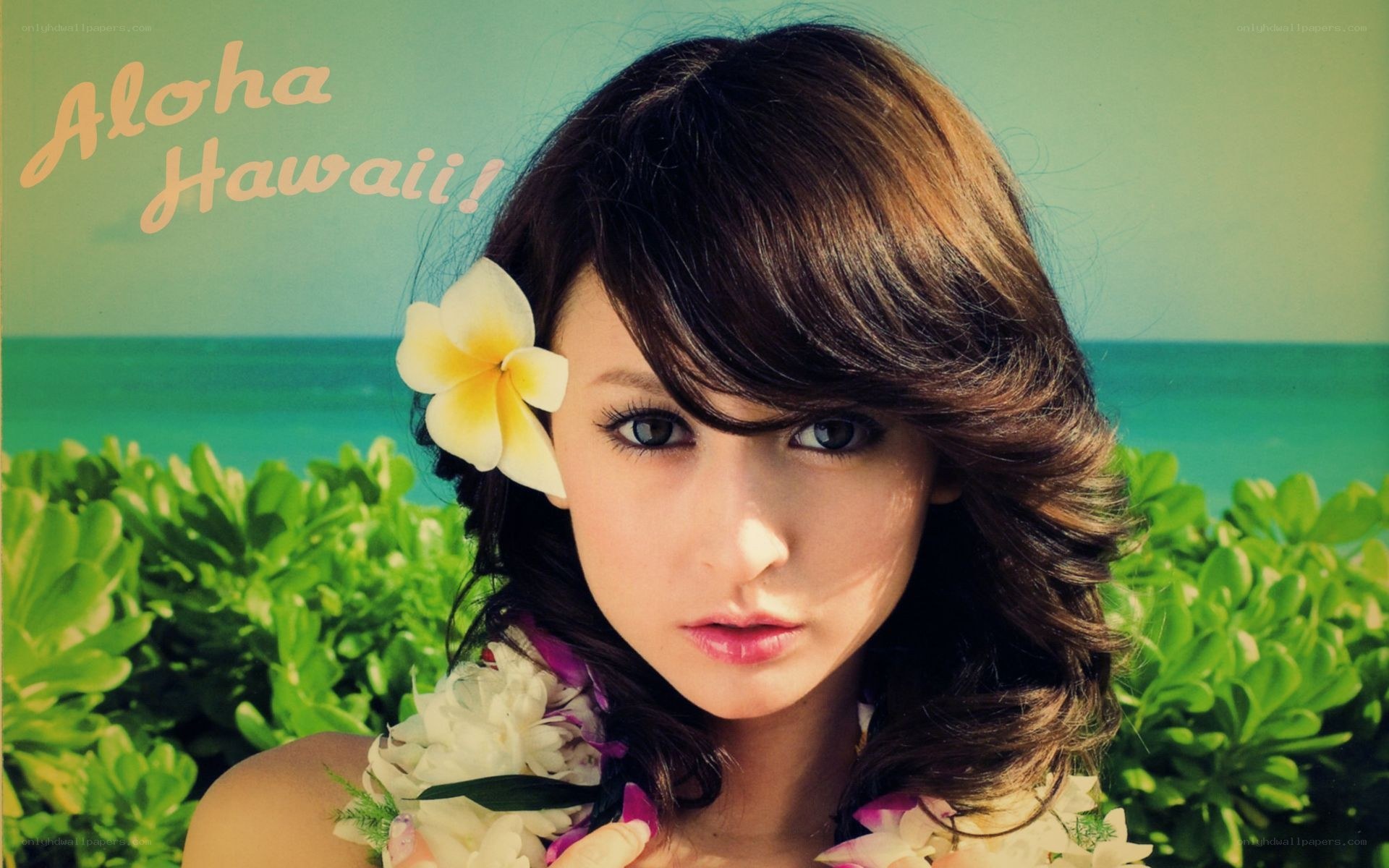 Aloha Hawaii portrait