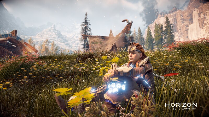 Aloy in a Flower Field