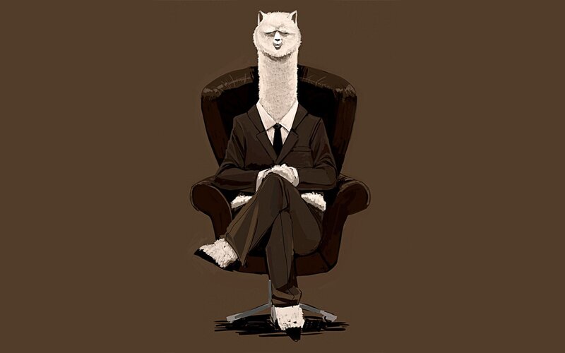 alpaca in a suit