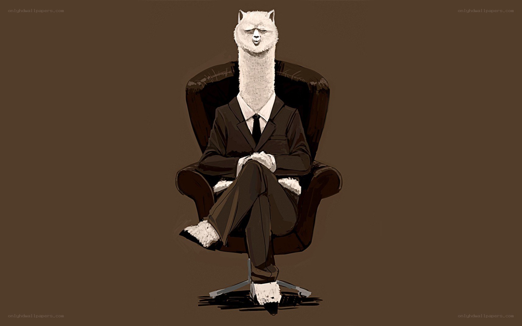 alpaca in a suit