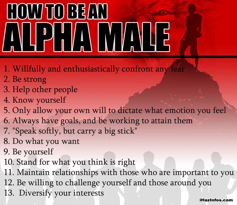Alpha Male Guide