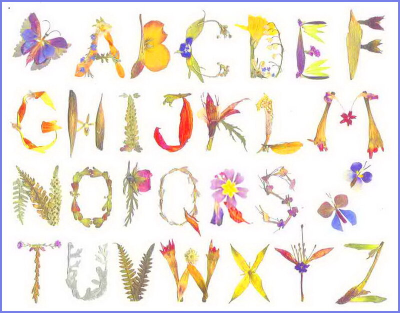 Alphabet Made of Flowers
