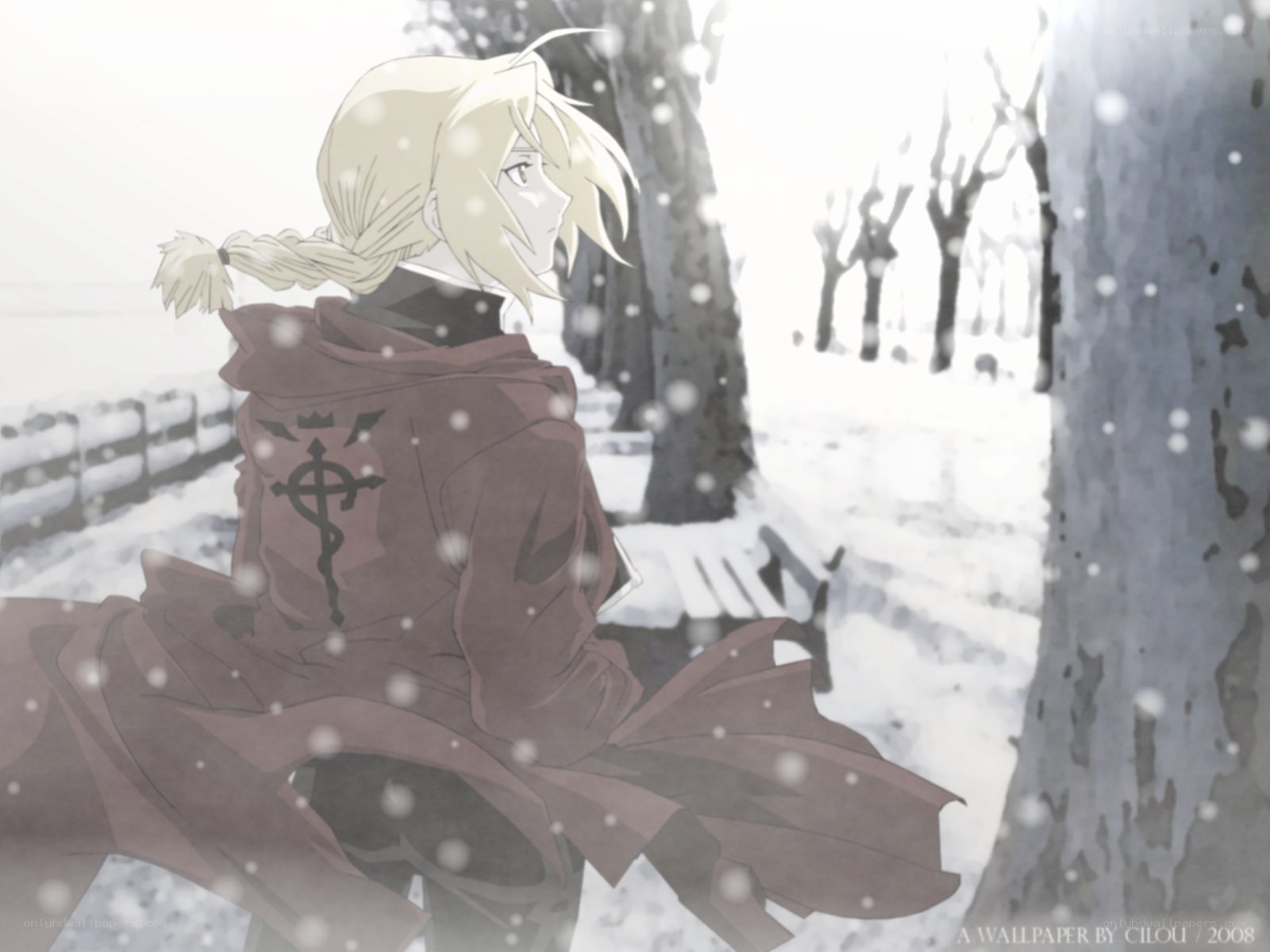 Alphonse in the snow