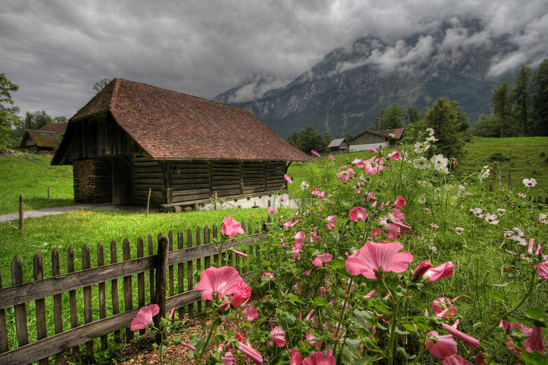 Alpine barn with wildflowers