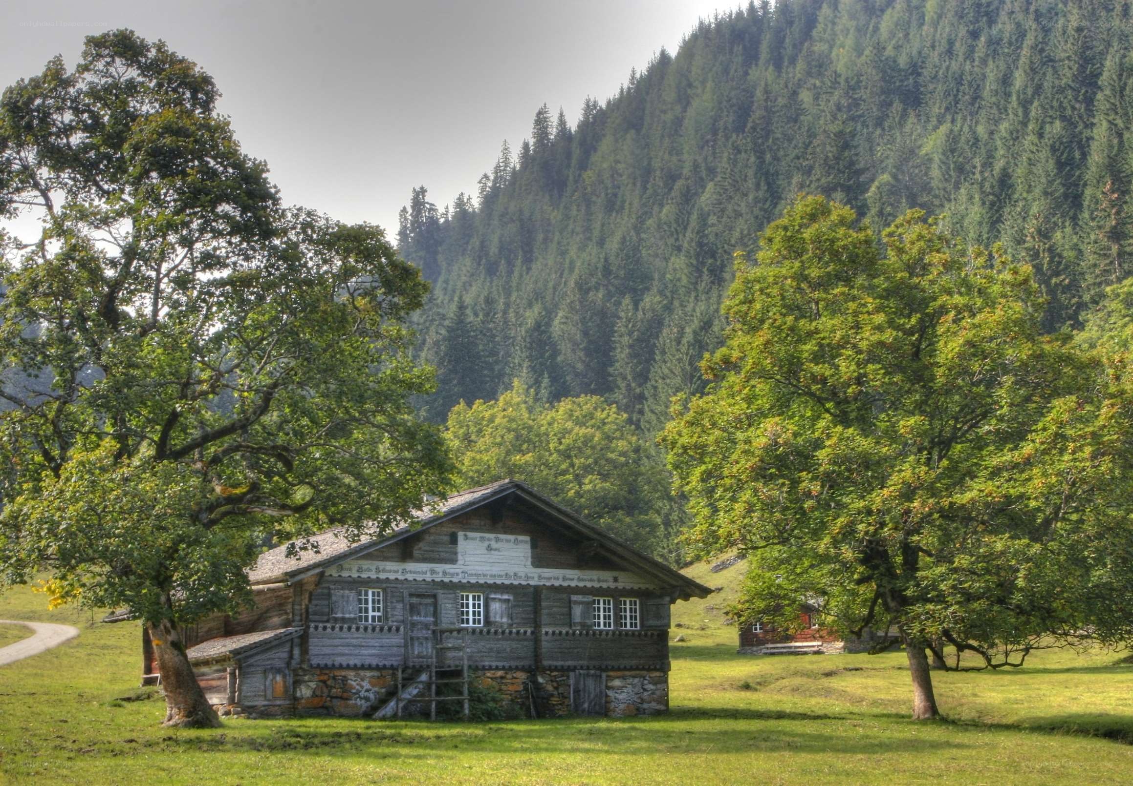 Alpine cabin in a green valley