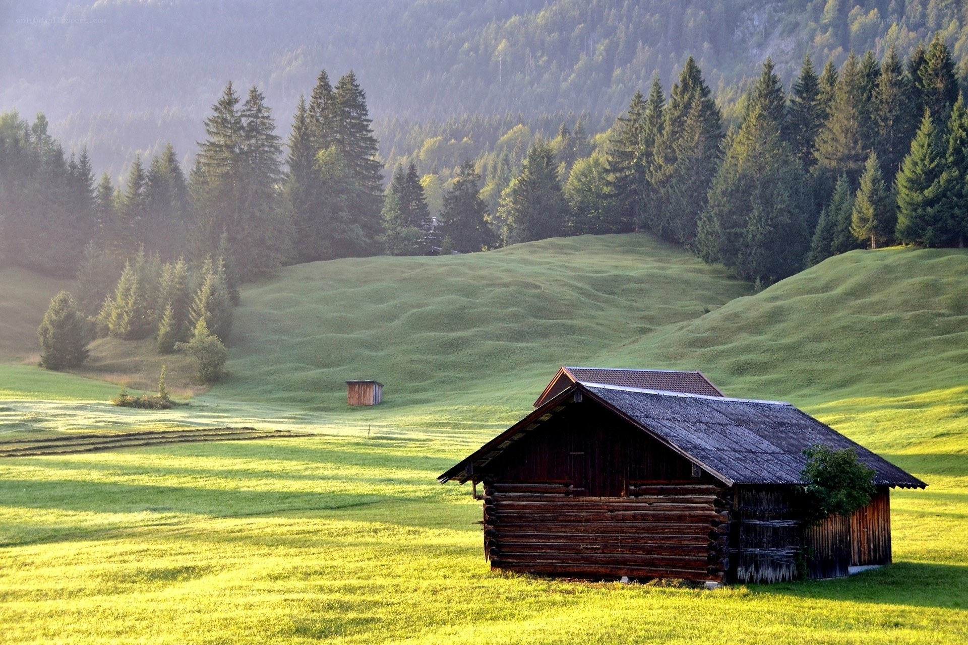 Alpine cabin in a green valley