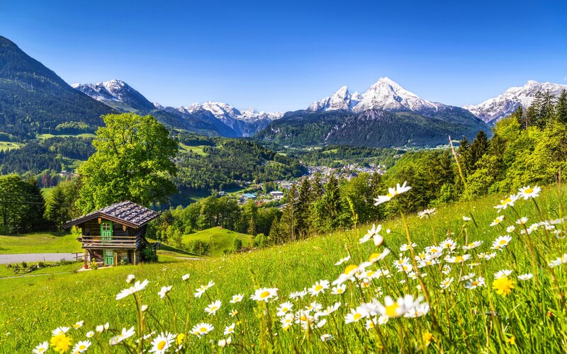 Alpine Cabin in Meadow — Green, Serene