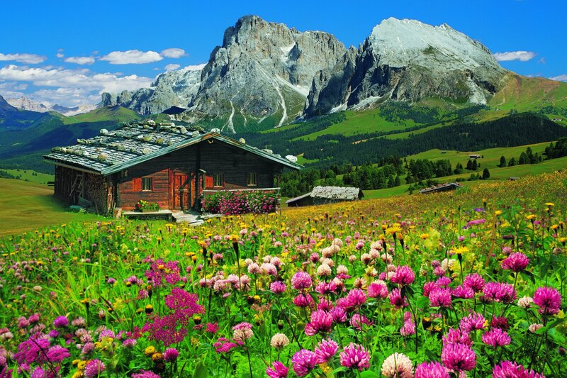 Alpine Cabin in Meadow