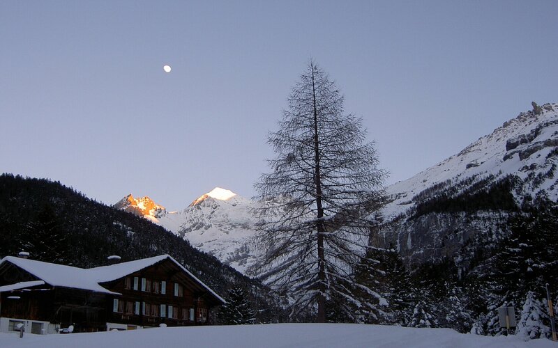 Alpine Cabin in Snow — White