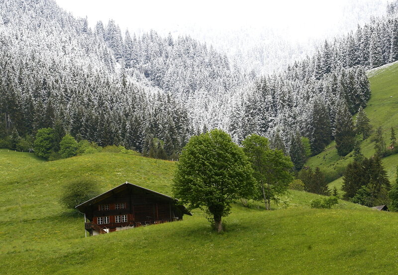Alpine cabin in spring