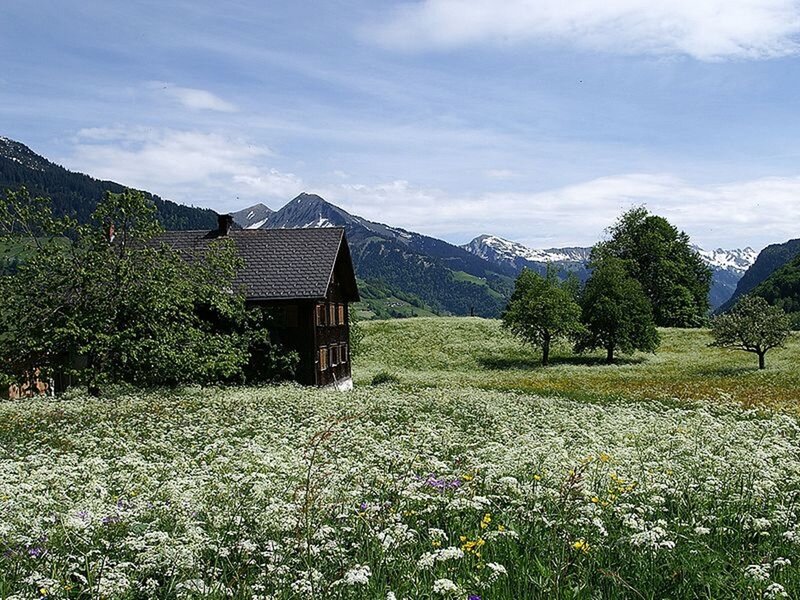 Alpine cabin with mountain view