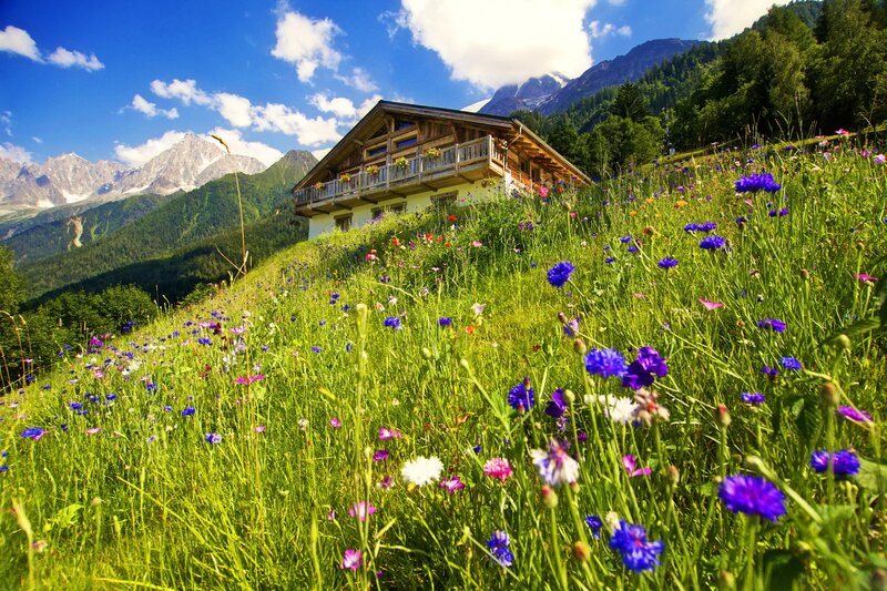 Alpine Chalet on Hillside
