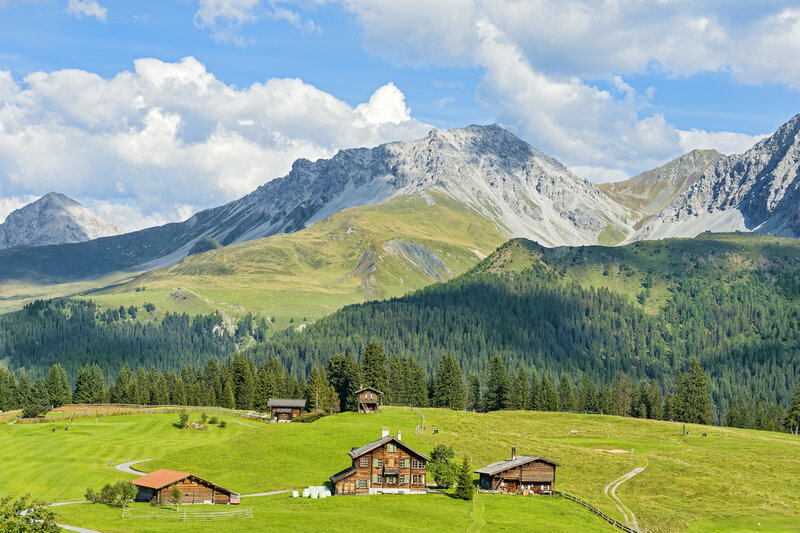 Alpine Chalets in Valley