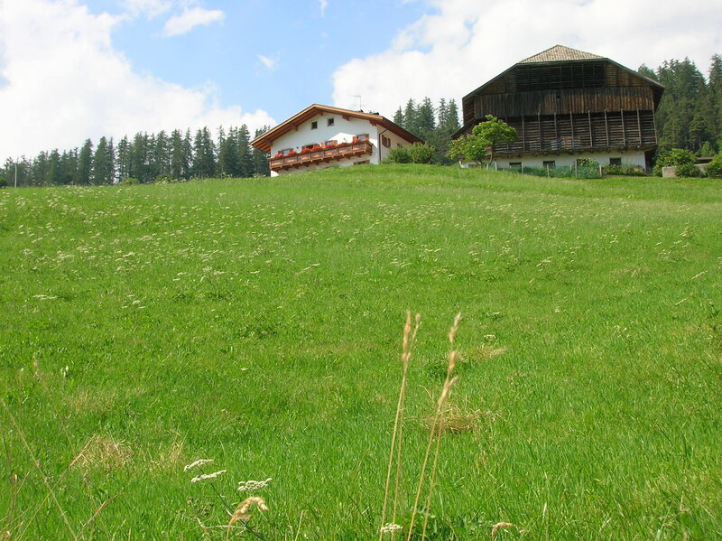 Alpine farm on a sunny day