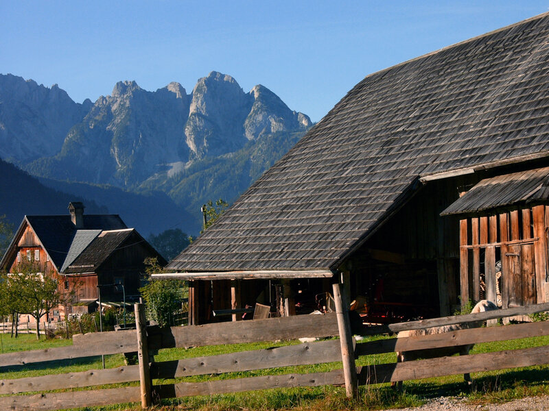 Alpine farm with mountain backdrop