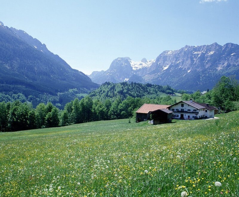 Alpine farm with mountain view