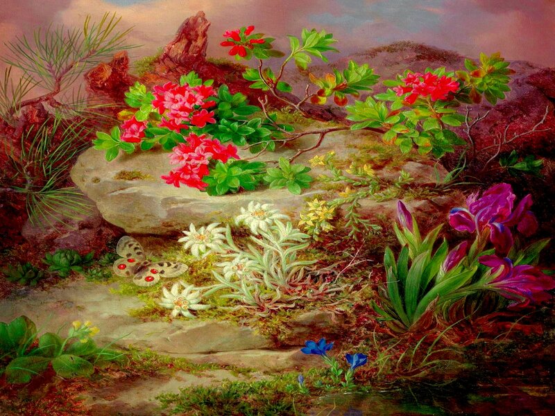Alpine Flowers and Butterfly