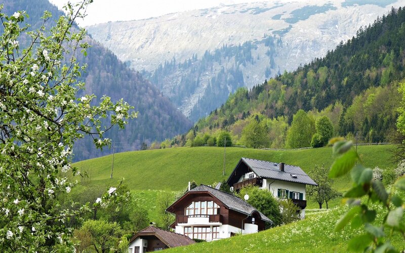 Alpine Houses in Valley