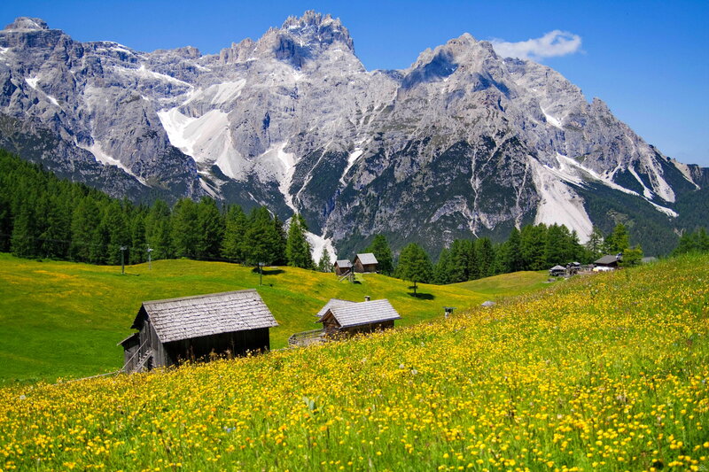 Alpine Huts in Meadow — Green