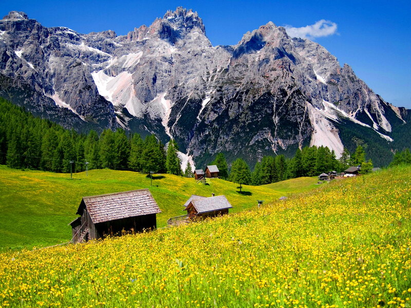 Alpine Huts in Meadow — Yellow