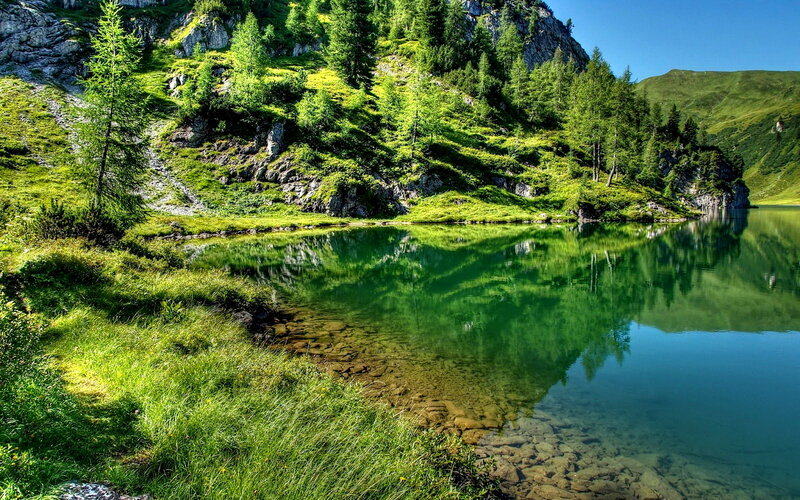 Alpine Lake and Forest