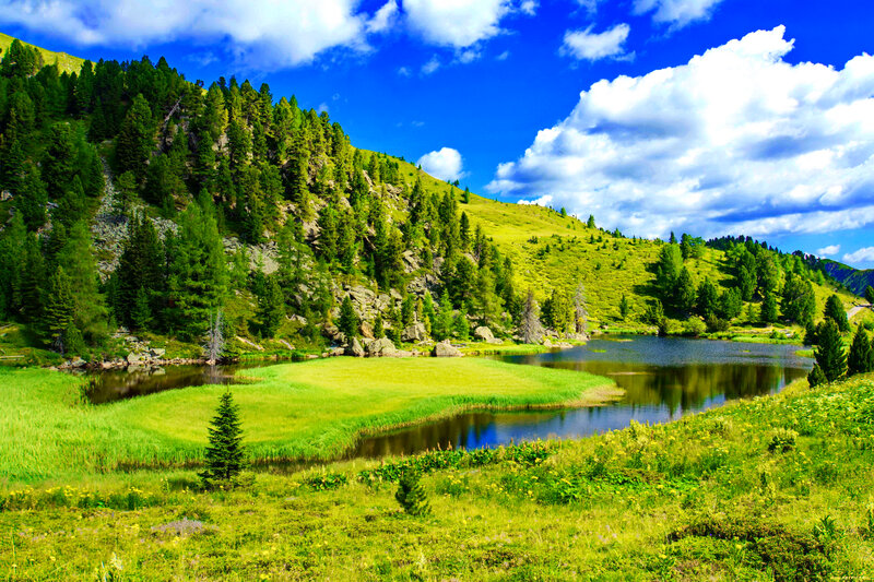 Alpine Lake and Meadow — Green, Serene, Afternoon