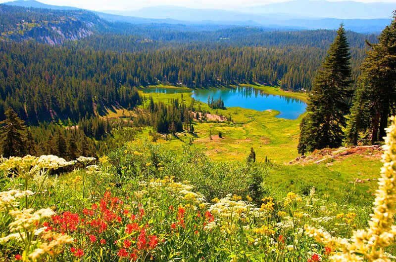 Alpine Lake and Meadow — Green, Serene, Summer