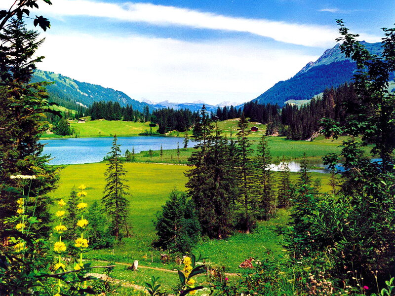 Alpine Lake and Meadow — Green, Serene